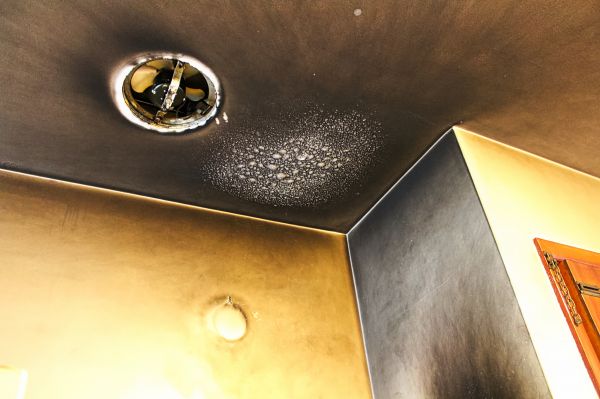 Smoke Damage Remediation in Monroe